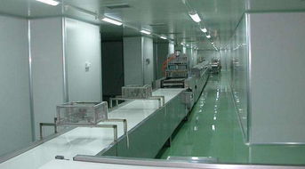 鶴山市共和鎮(zhèn)喜洋洋食品廠加盟