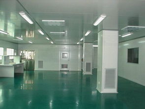 萬級gmp食品包裝車間凈化工程圖片 高清大圖 谷瀑環(huán)保